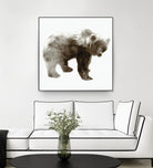 Bear by Edward Selkirk on GIANT ART - brown animals