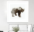 Bear by Edward Selkirk on GIANT ART - brown animals