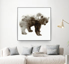 Bear by Edward Selkirk on GIANT ART - brown animals