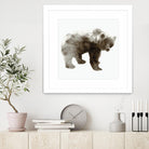 Bear by Edward Selkirk on GIANT ART - brown animals