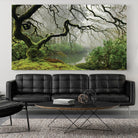 Garden Mist by Don Schwartz on GIANT ART - grey trees