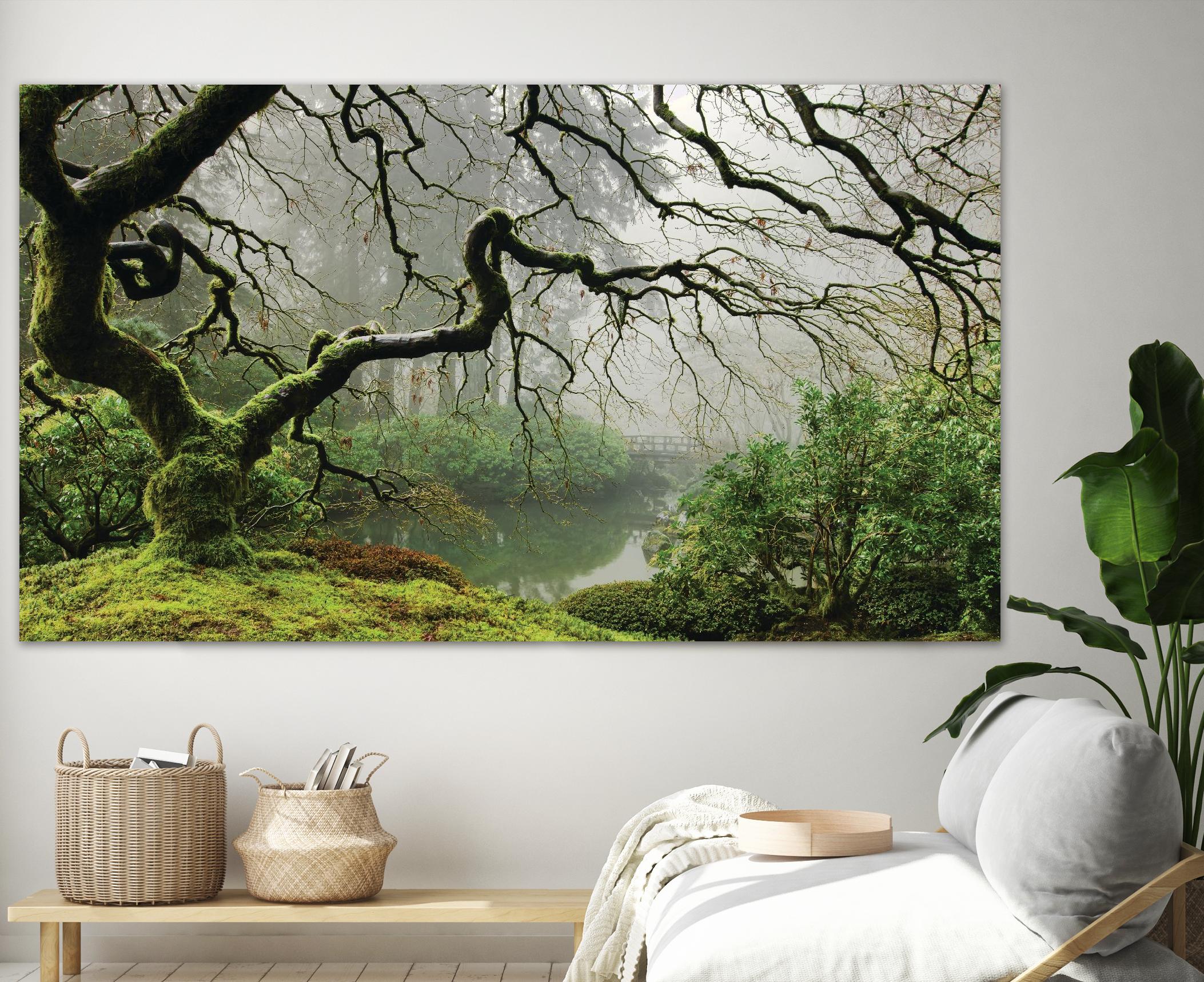 Garden Mist by Don Schwartz on GIANT ART - grey trees