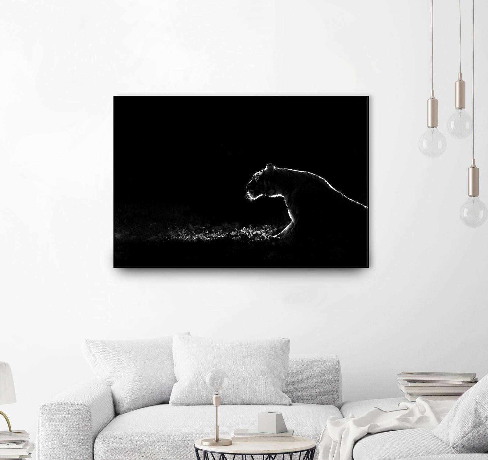Amot - Untitled by 1X on GIANT ART - white animals