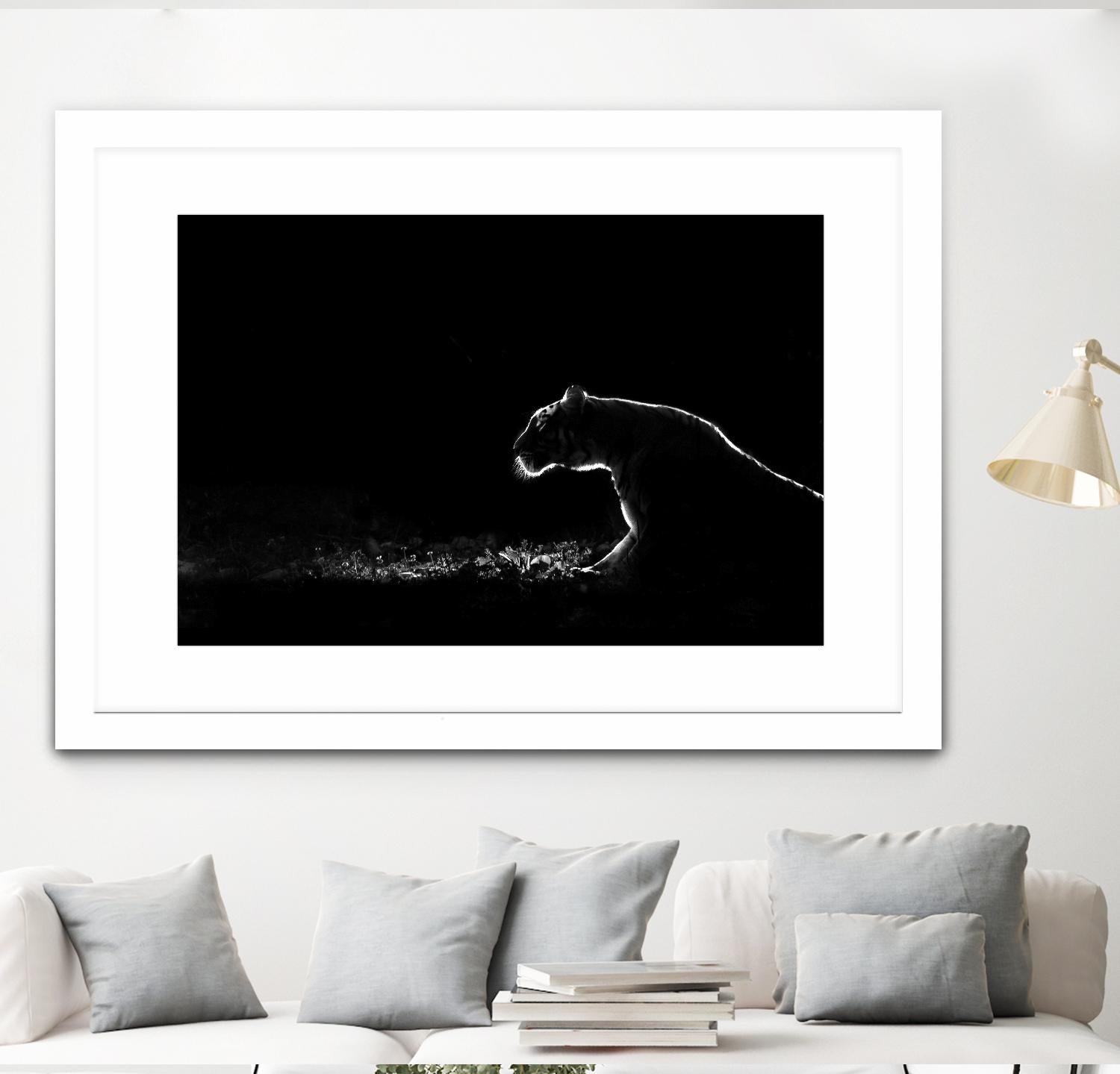 Amot - Untitled by 1X on GIANT ART - white animals