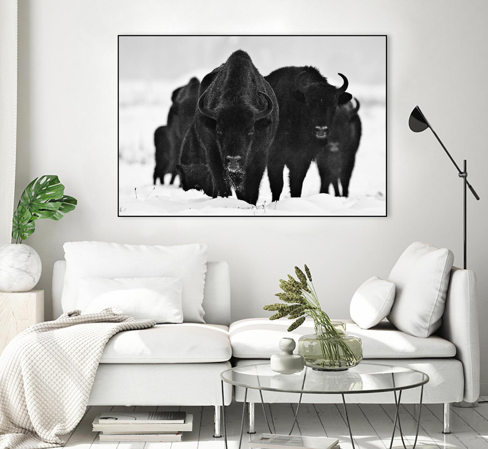 Europeans Bizons by Crepinsek 1X on GIANT ART - black animals