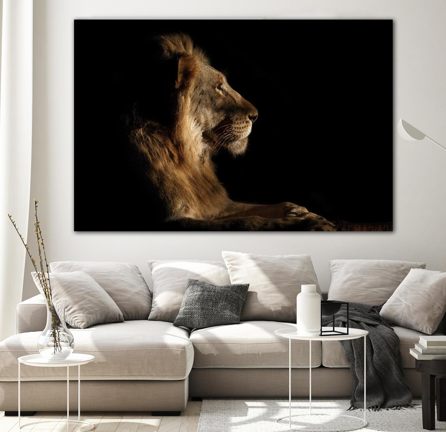 Royal Meeting in the Night by Hemb 1X on GIANT ART - black animals