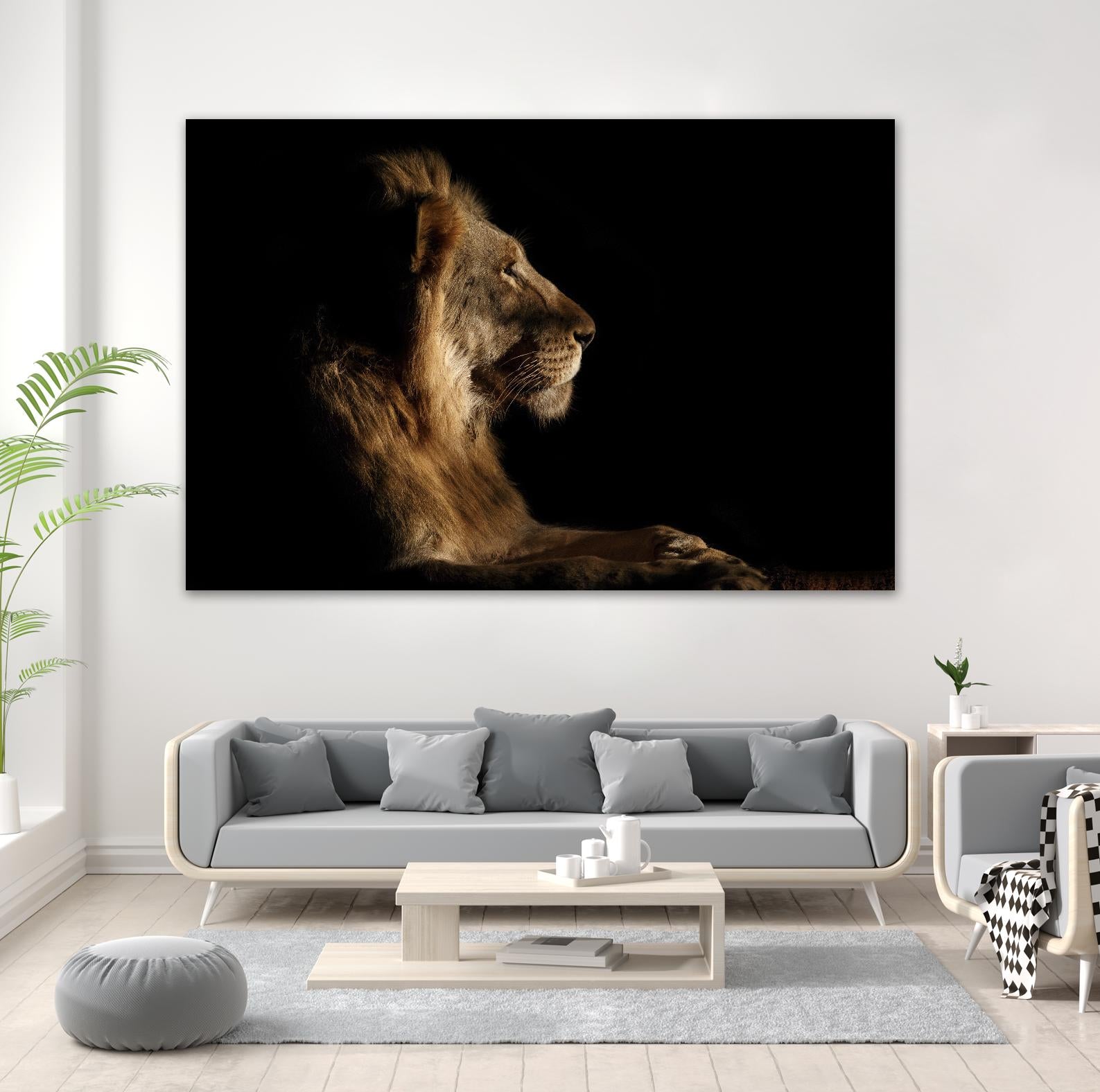 Royal Meeting in the Night by Hemb 1X on GIANT ART - black animals