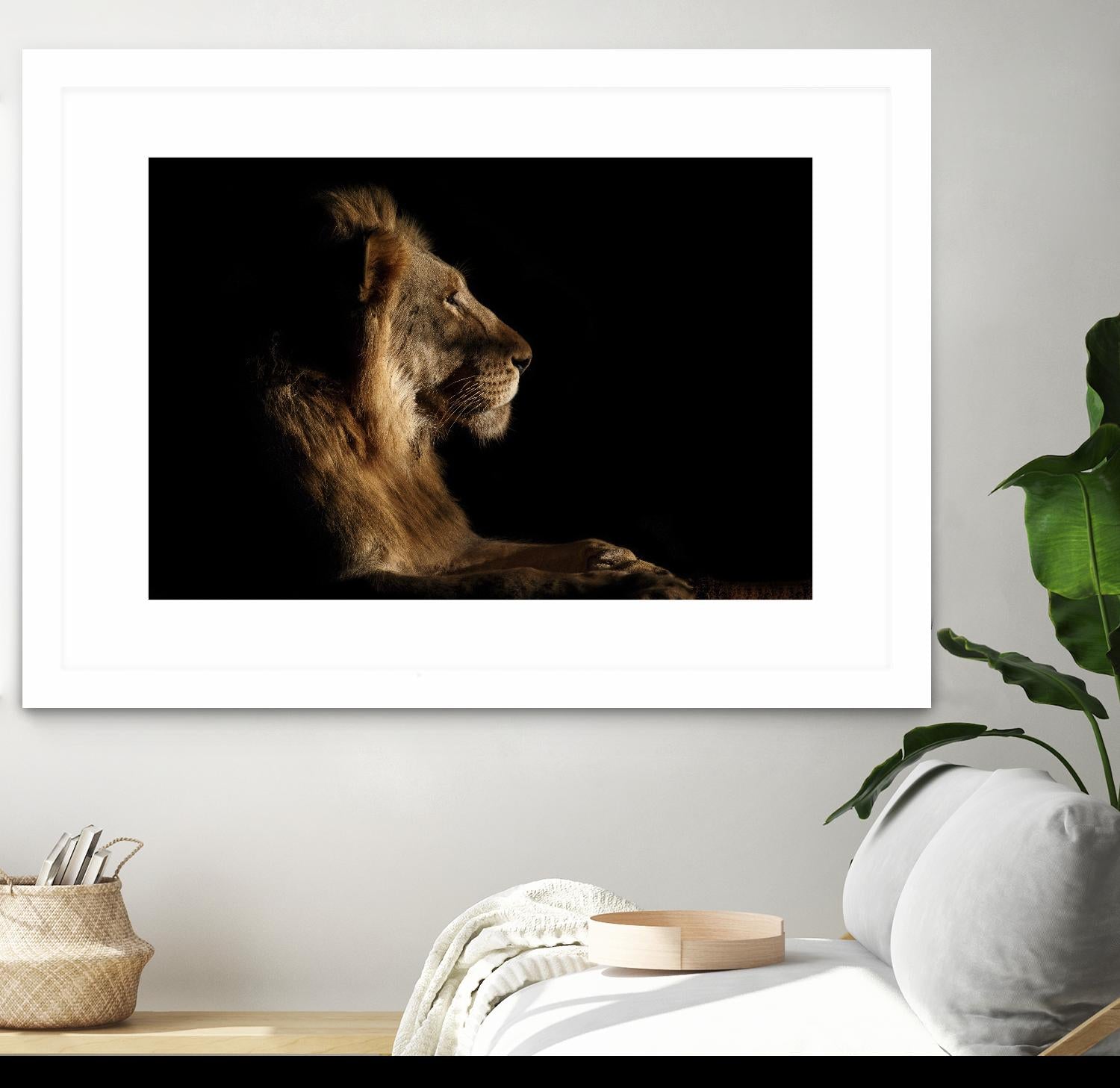 Royal Meeting in the Night by Hemb 1X on GIANT ART - black animals