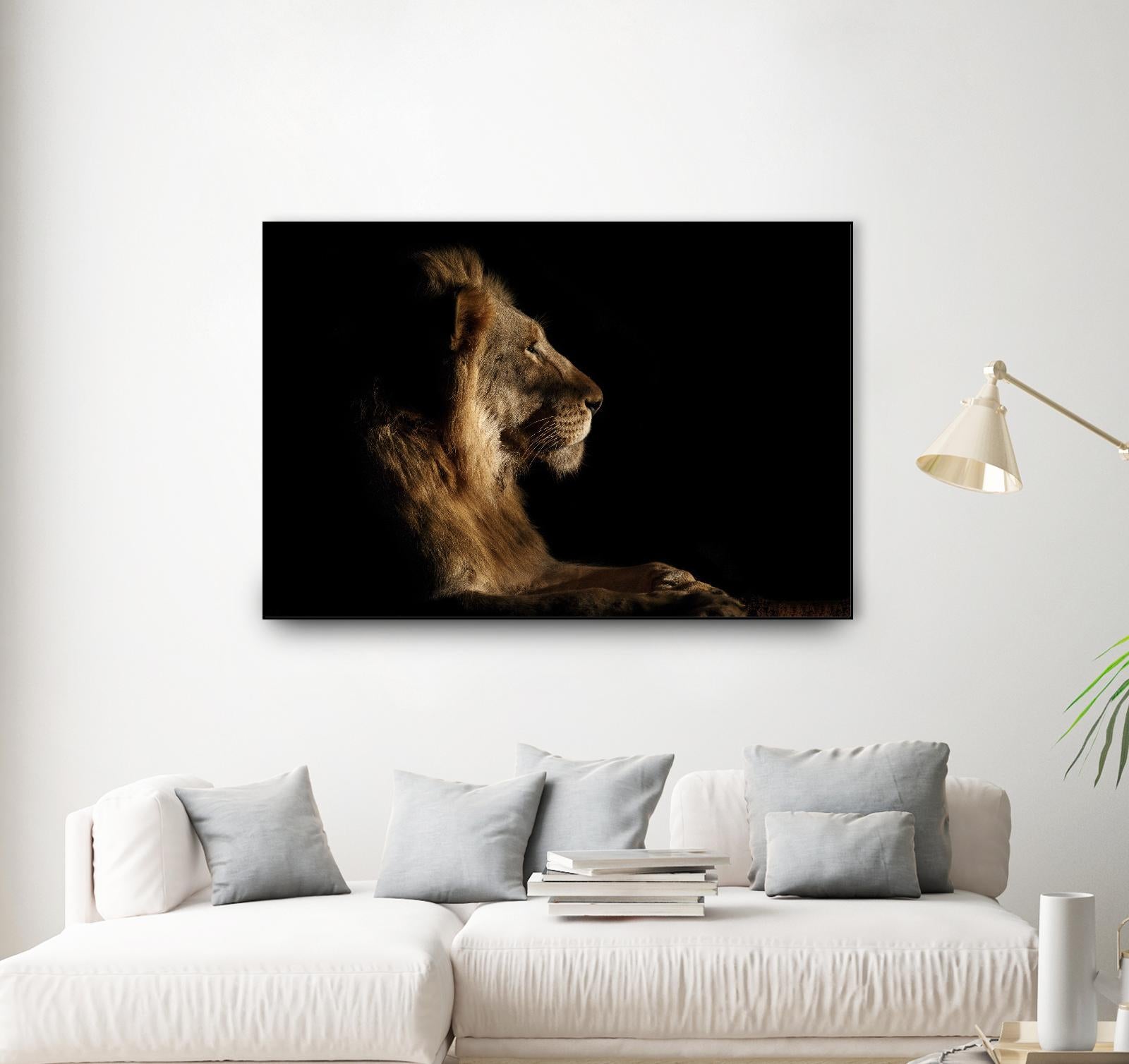 Royal Meeting in the Night by Hemb 1X on GIANT ART - black animals