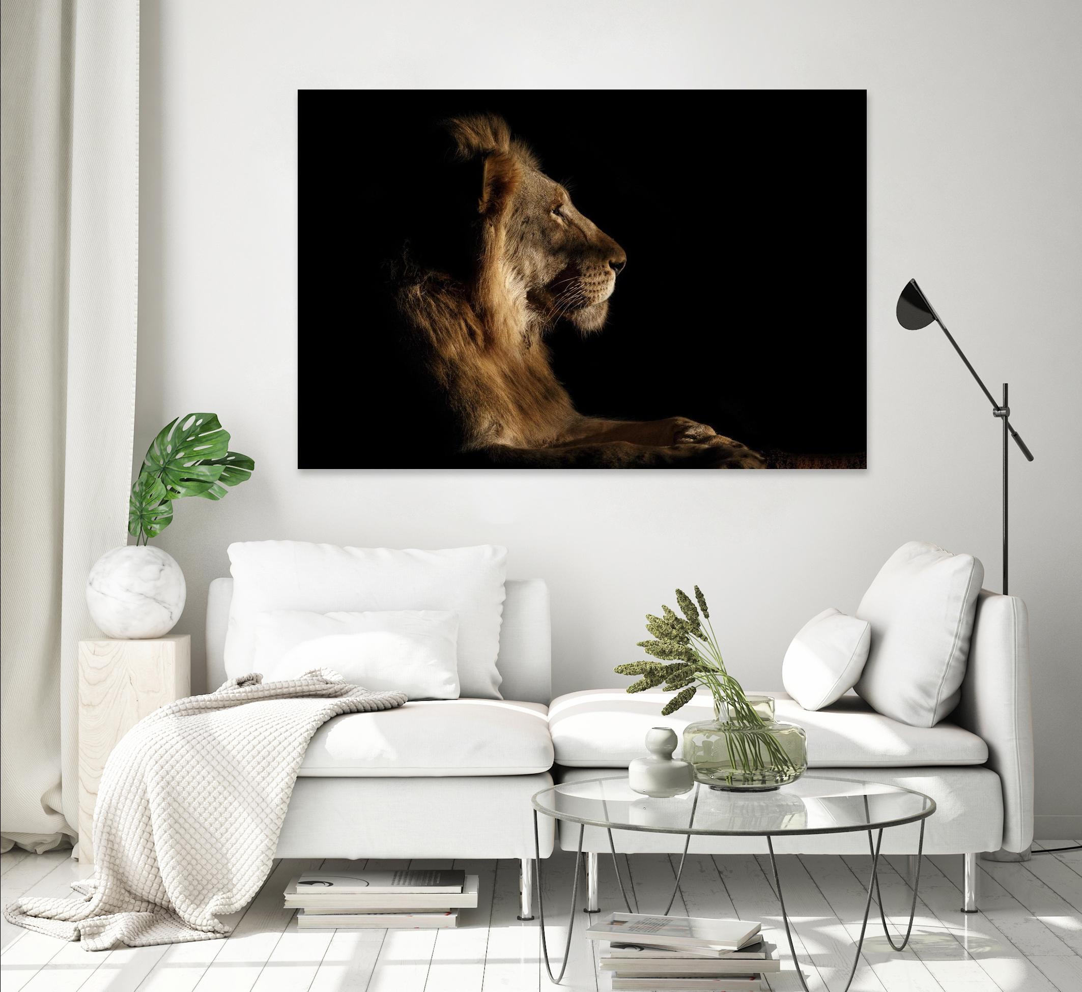 Royal Meeting in the Night by Hemb 1X on GIANT ART - black animals