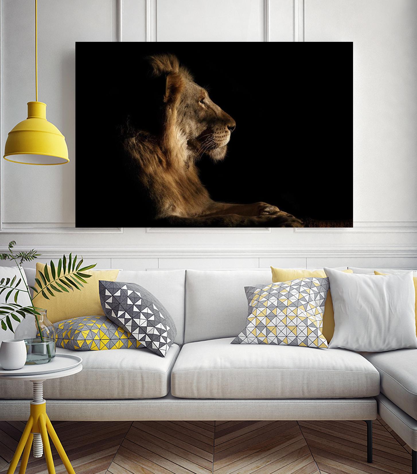 Royal Meeting in the Night by Hemb 1X on GIANT ART - black animals