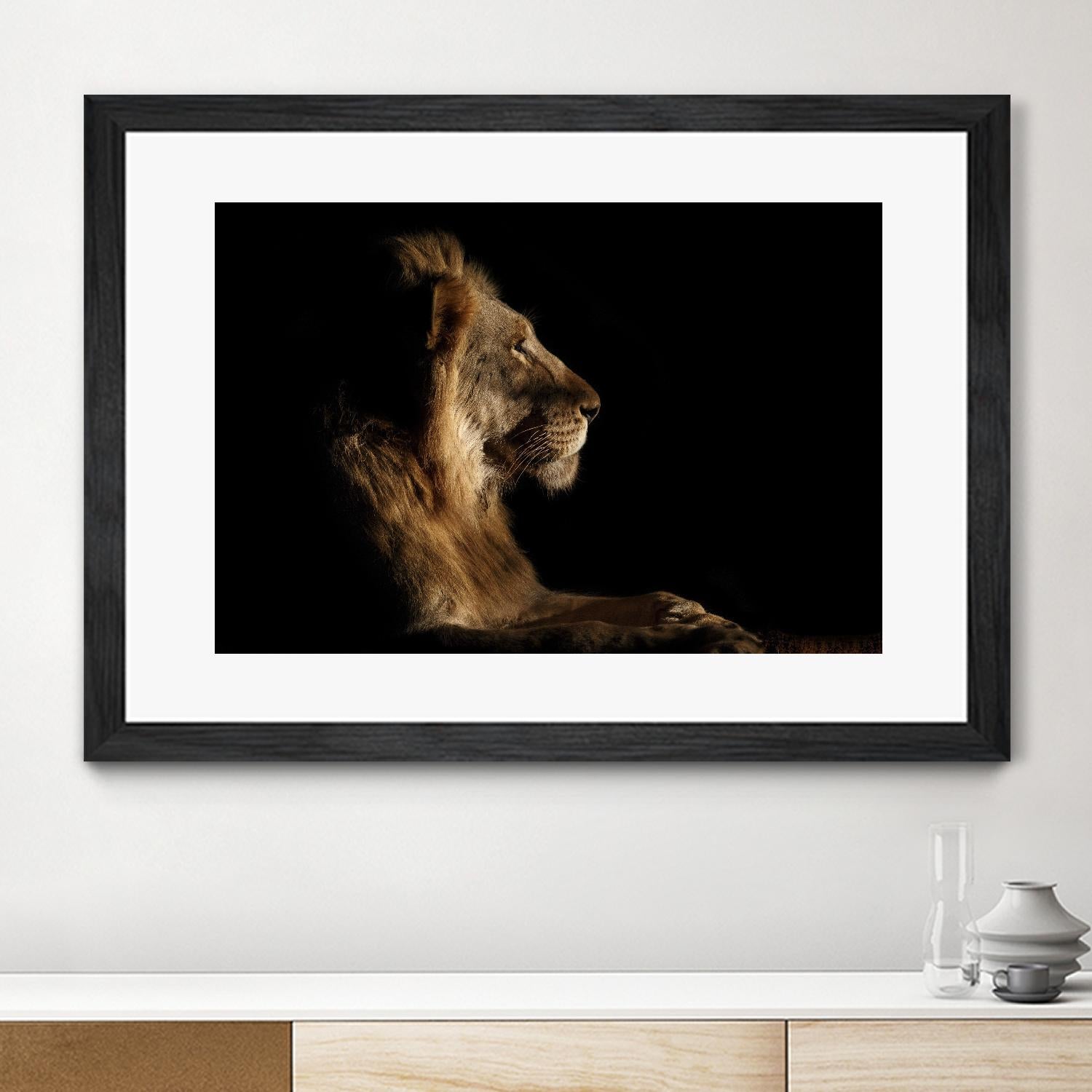 Royal Meeting in the Night by Hemb 1X on GIANT ART - black animals