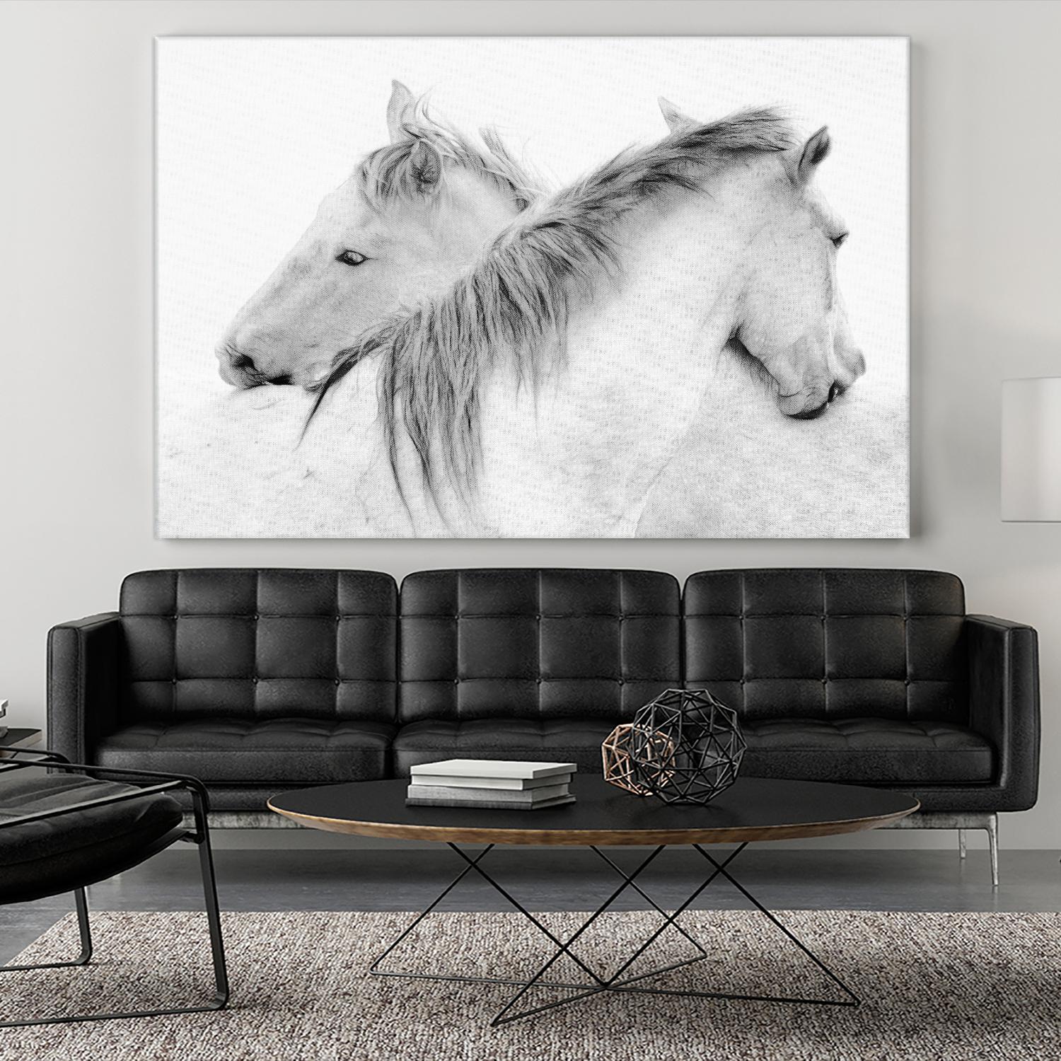 Stas - Horses by 1X on GIANT ART - white photo art