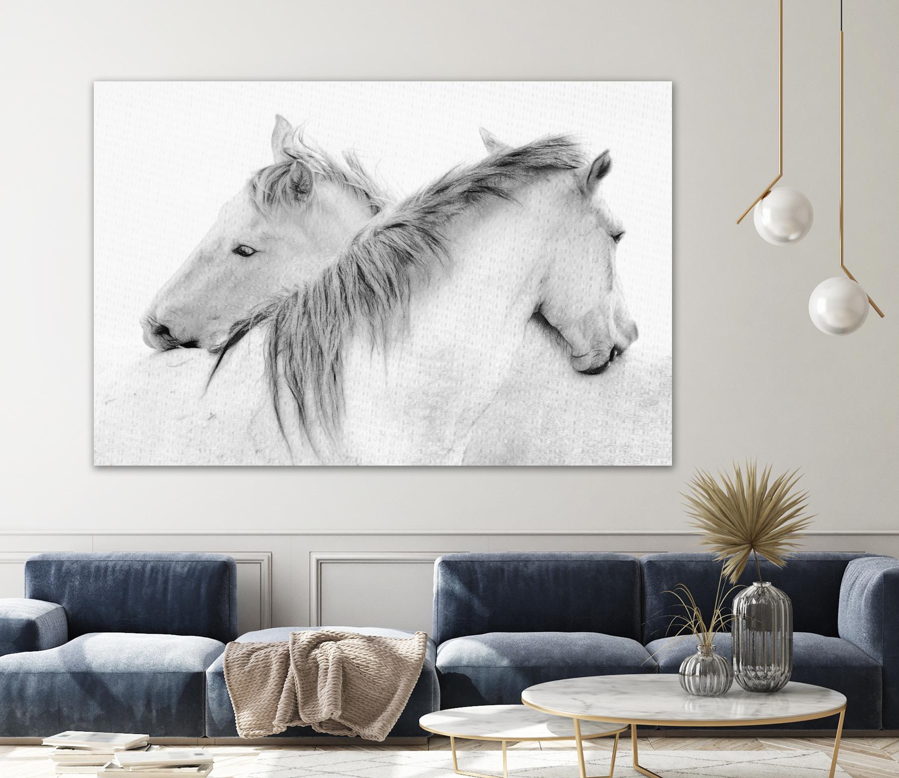 Stas - Horses by 1X on GIANT ART - white photo art