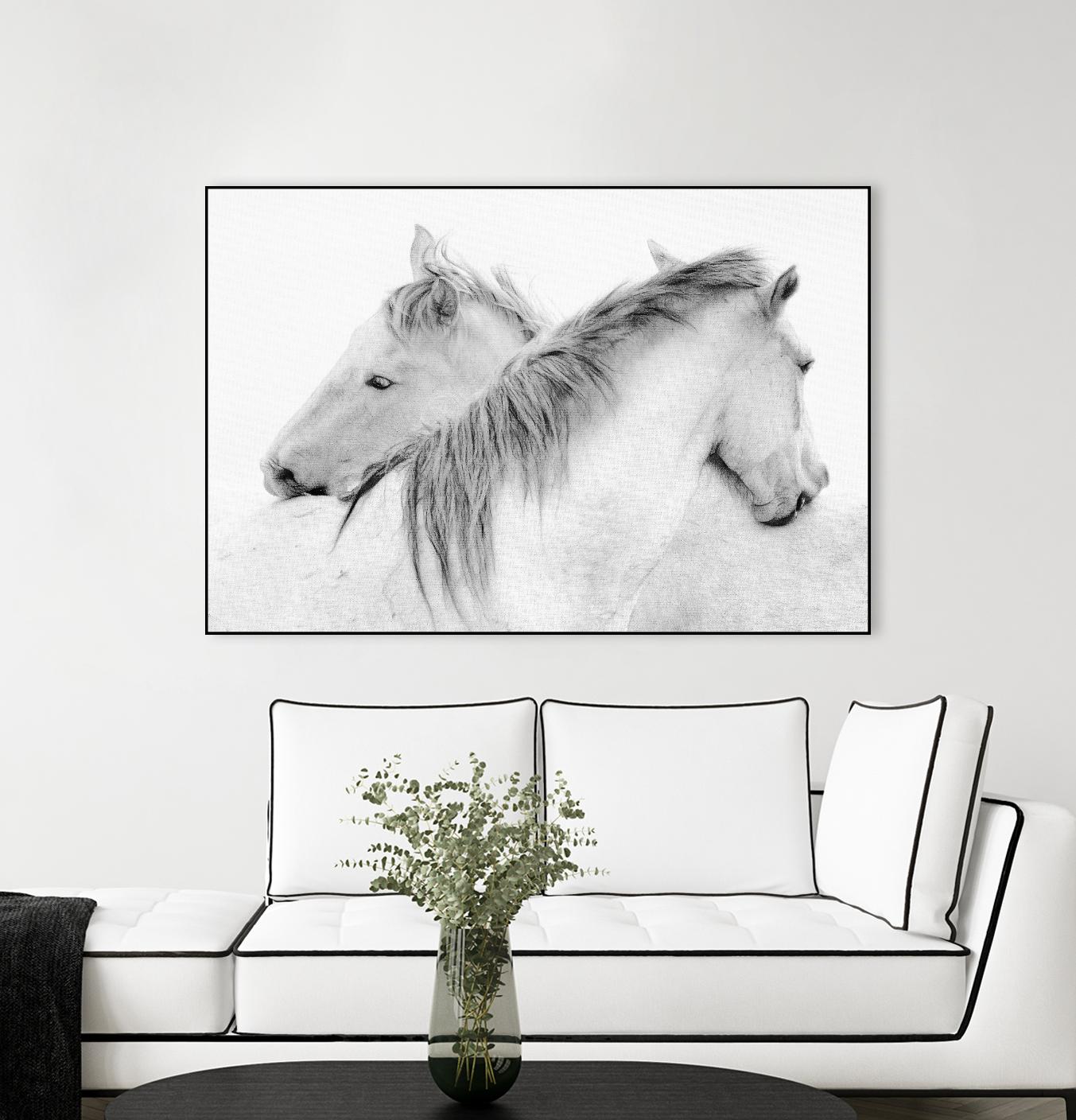 Stas - Horses by 1X on GIANT ART - white photo art