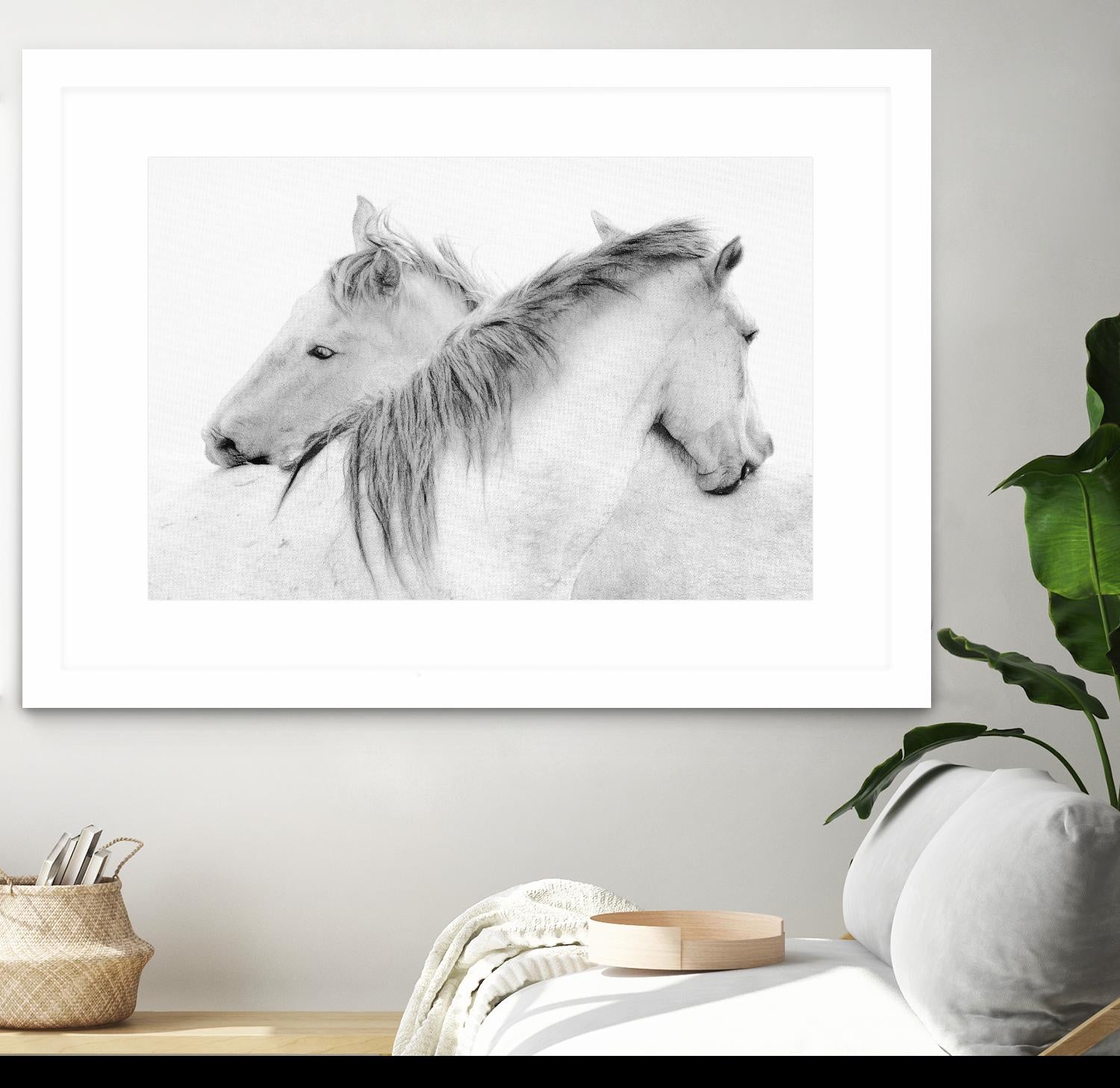 Stas - Horses by 1X on GIANT ART - white photo art