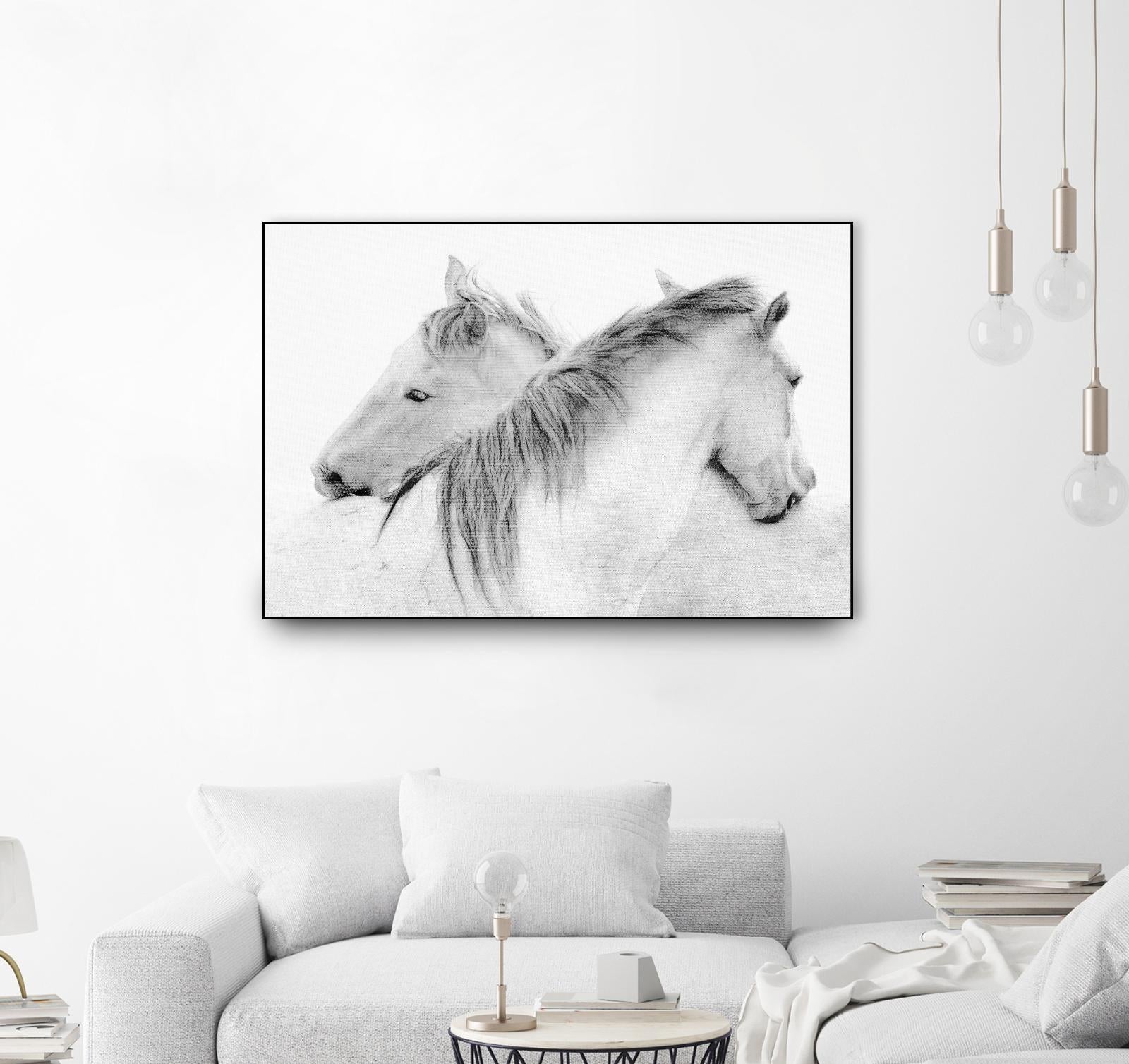 Stas - Horses by 1X on GIANT ART - white photo art