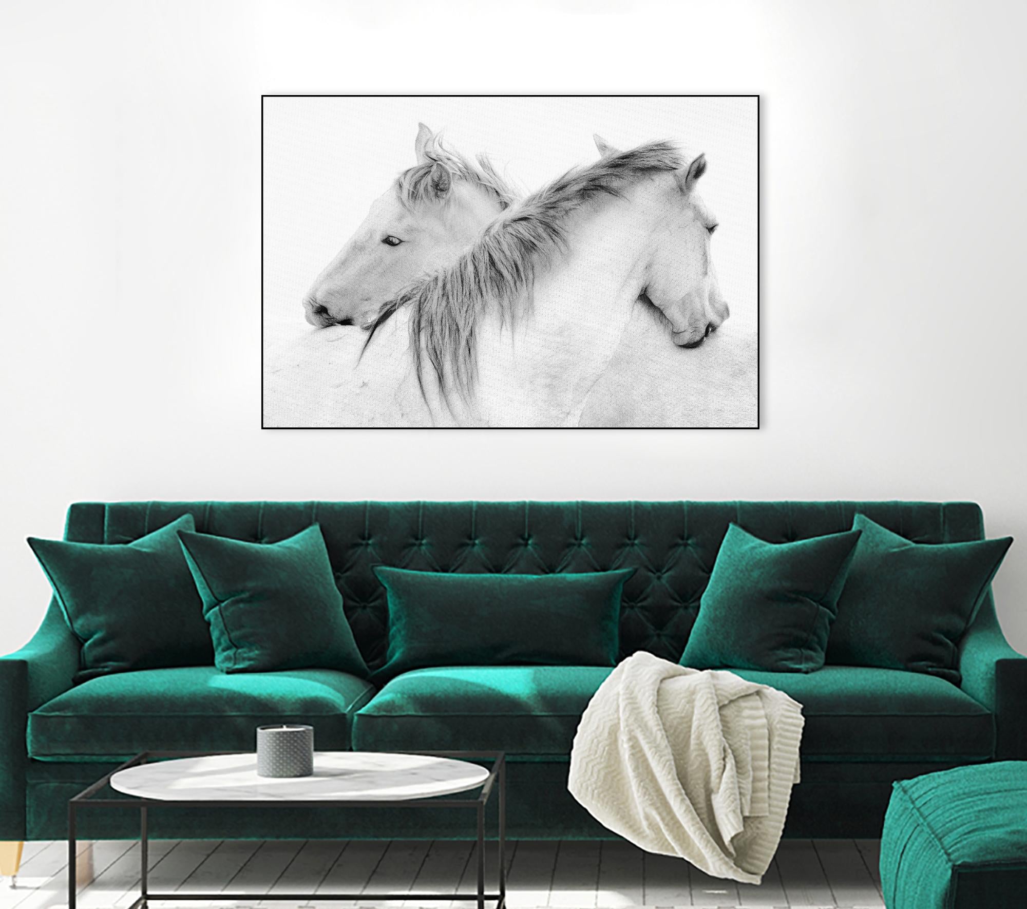 Stas - Horses by 1X on GIANT ART - white photo art