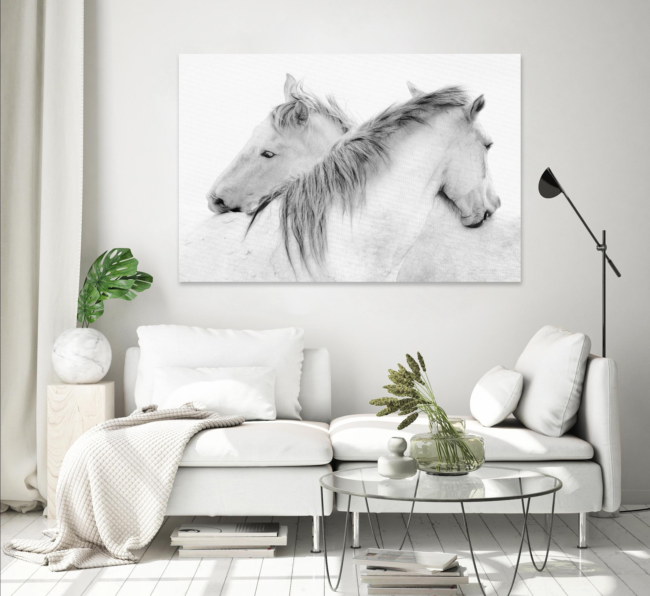 Stas - Horses by 1X on GIANT ART - white photo art