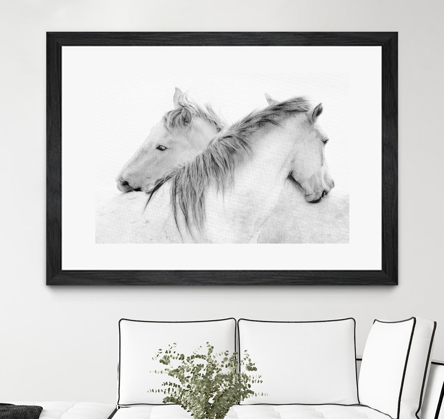 Stas - Horses by 1X on GIANT ART - white photo art