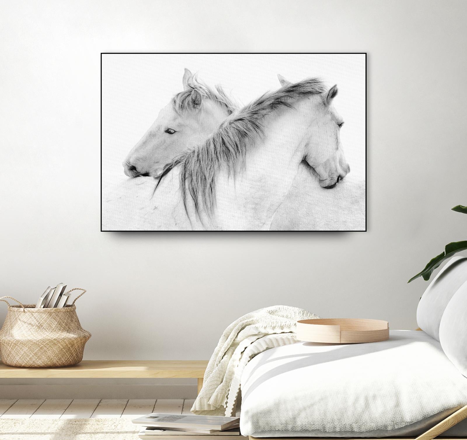 Stas - Horses by 1X on GIANT ART - white photo art