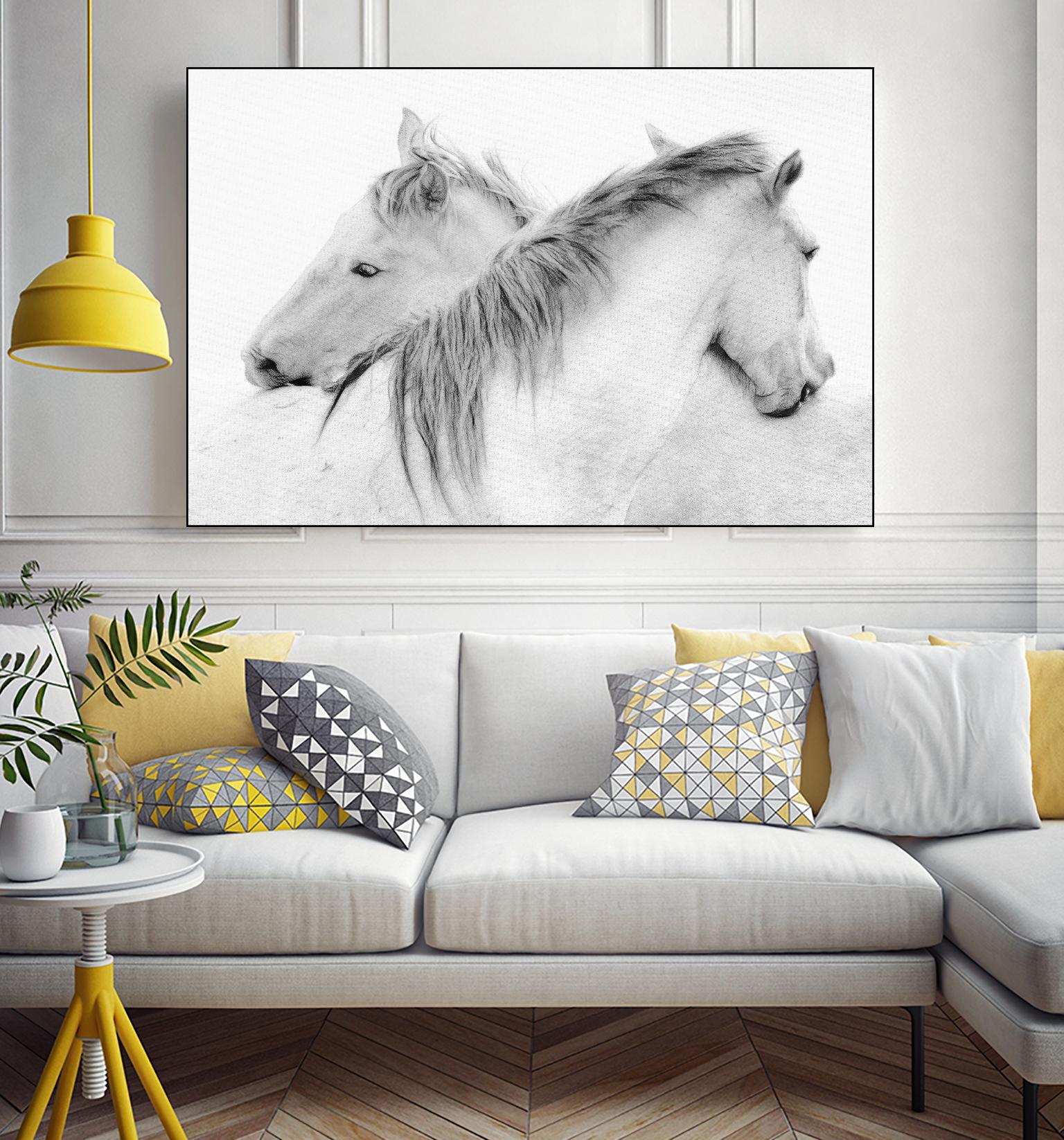 Stas - Horses by 1X on GIANT ART - white photo art