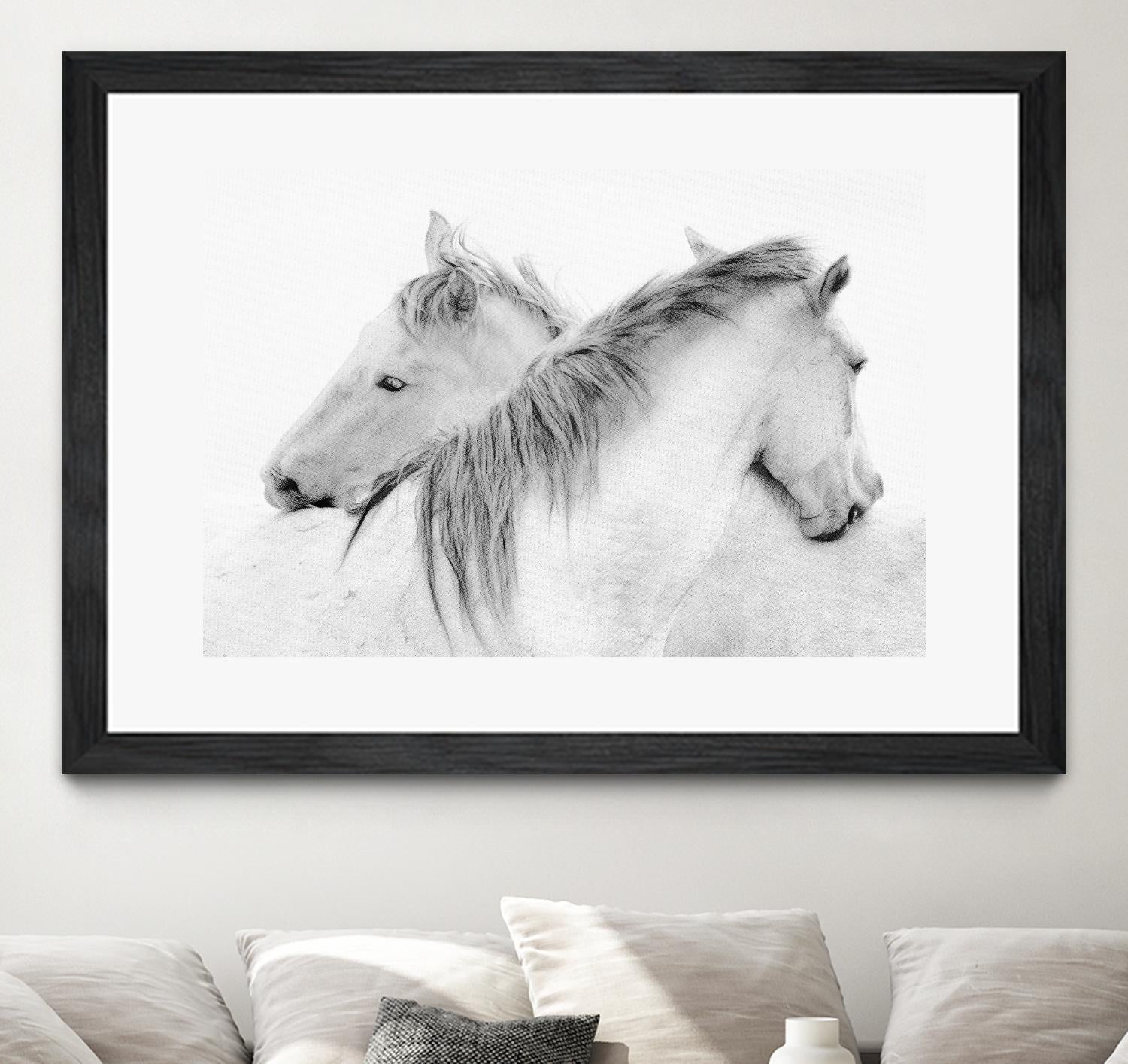 Stas - Horses by 1X on GIANT ART - white photo art