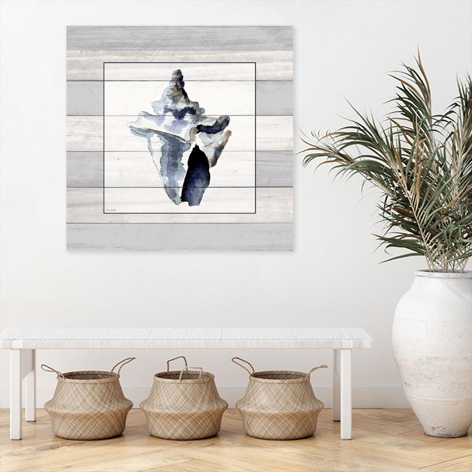 Muted Blue Sea Conch On Wood by Lanie Loreth on GIANT ART - coastal