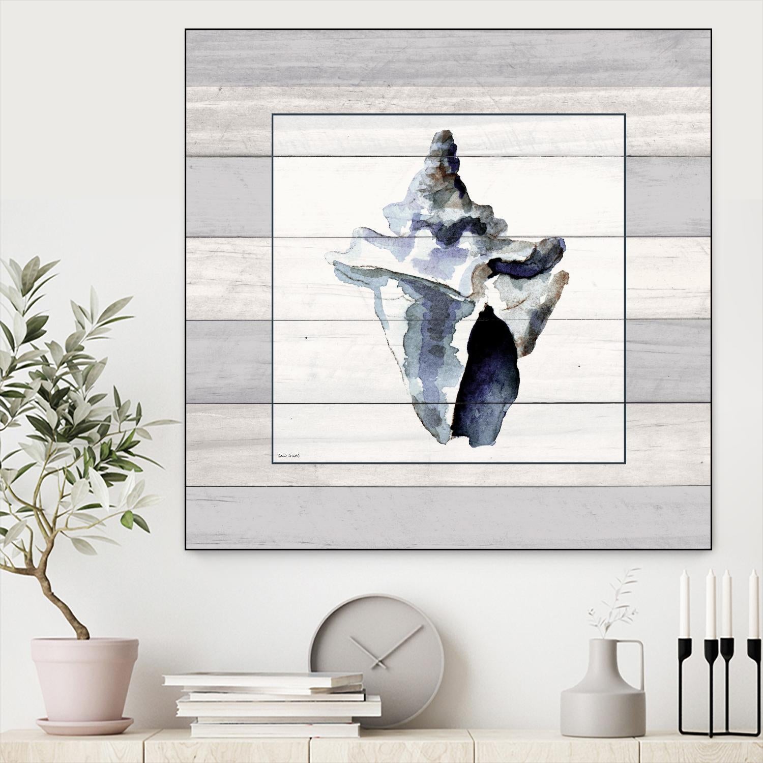 Muted Blue Sea Conch On Wood by Lanie Loreth on GIANT ART - coastal