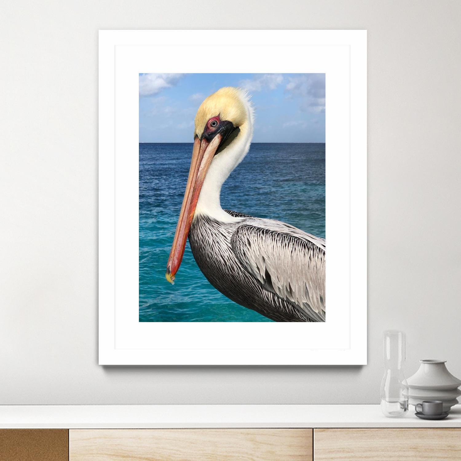 Pelican by Julie DeRice on GIANT ART - coastal photography