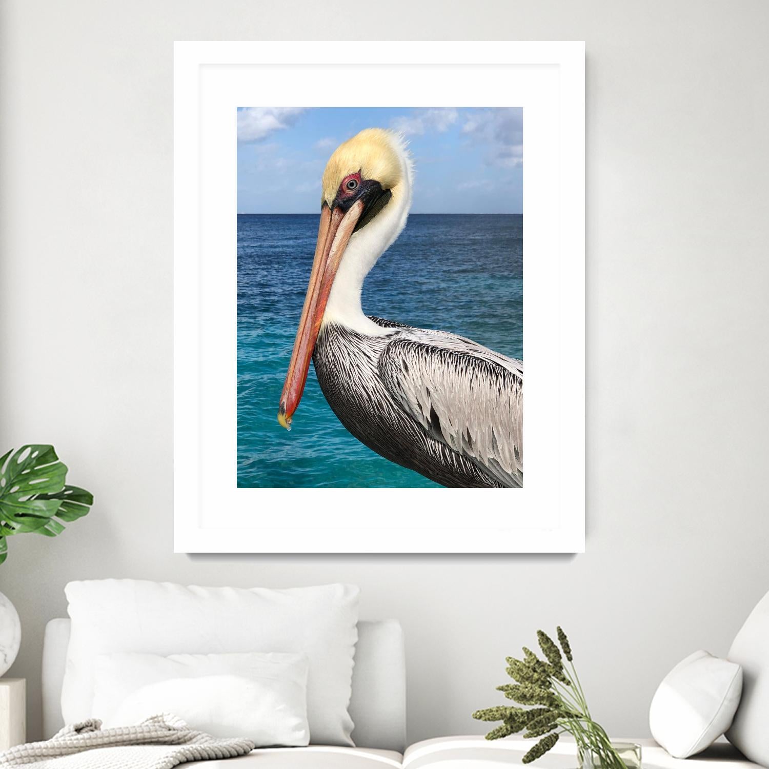 Pelican by Julie DeRice on GIANT ART - coastal photography