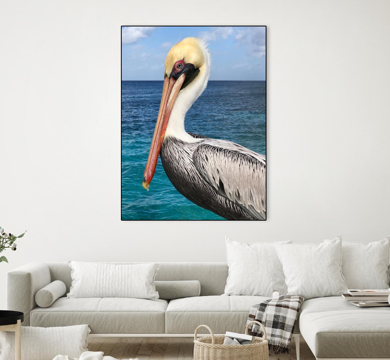 Pelican by Julie DeRice on GIANT ART - coastal photography