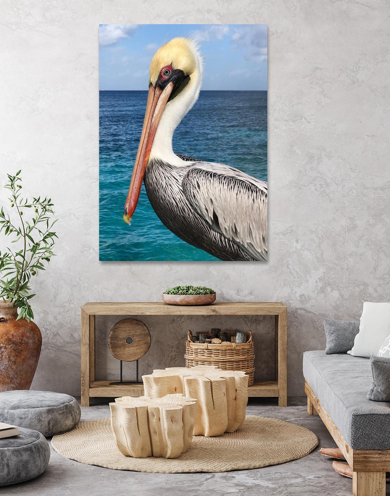 Pelican by Julie DeRice on GIANT ART - coastal photography