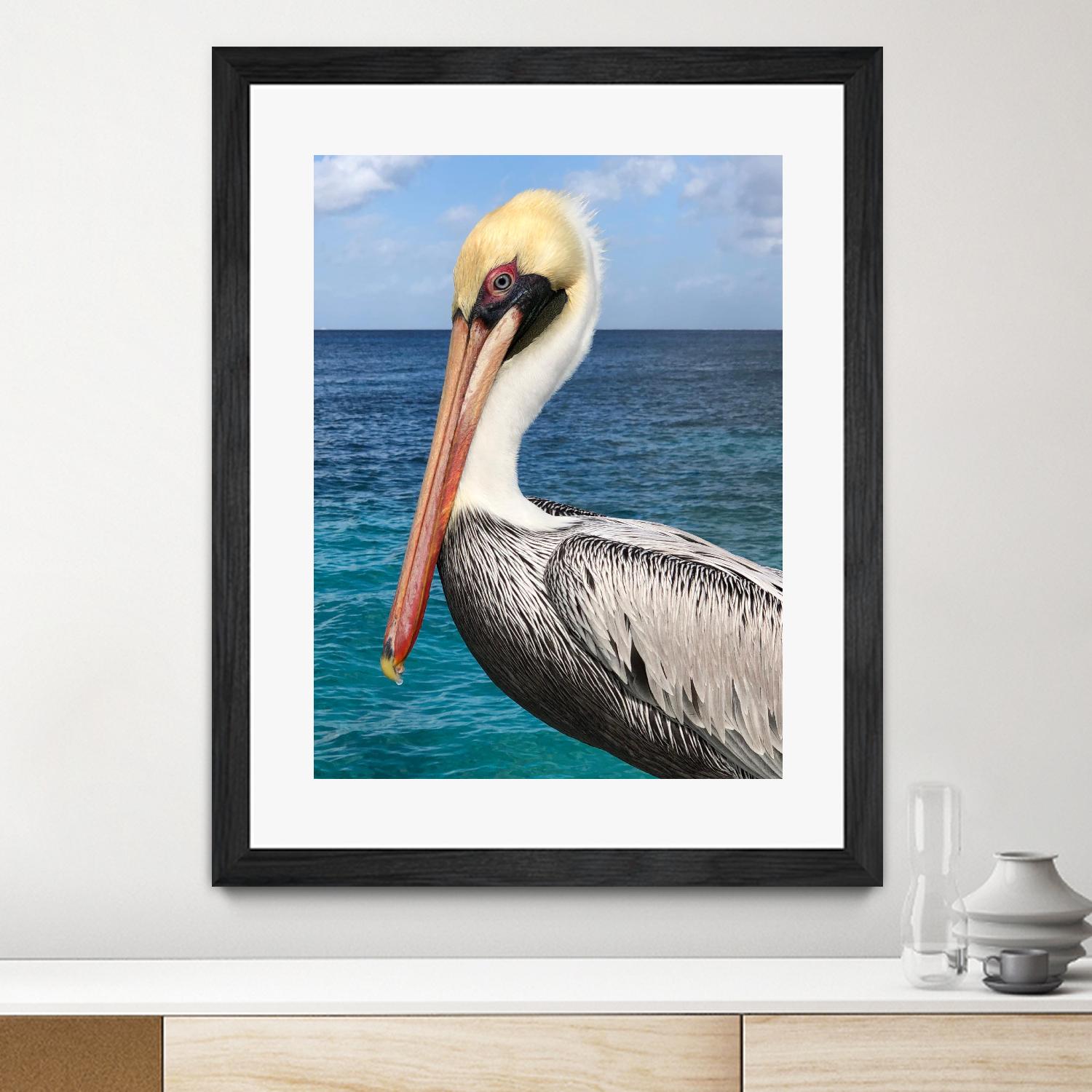 Pelican by Julie DeRice on GIANT ART - coastal photography