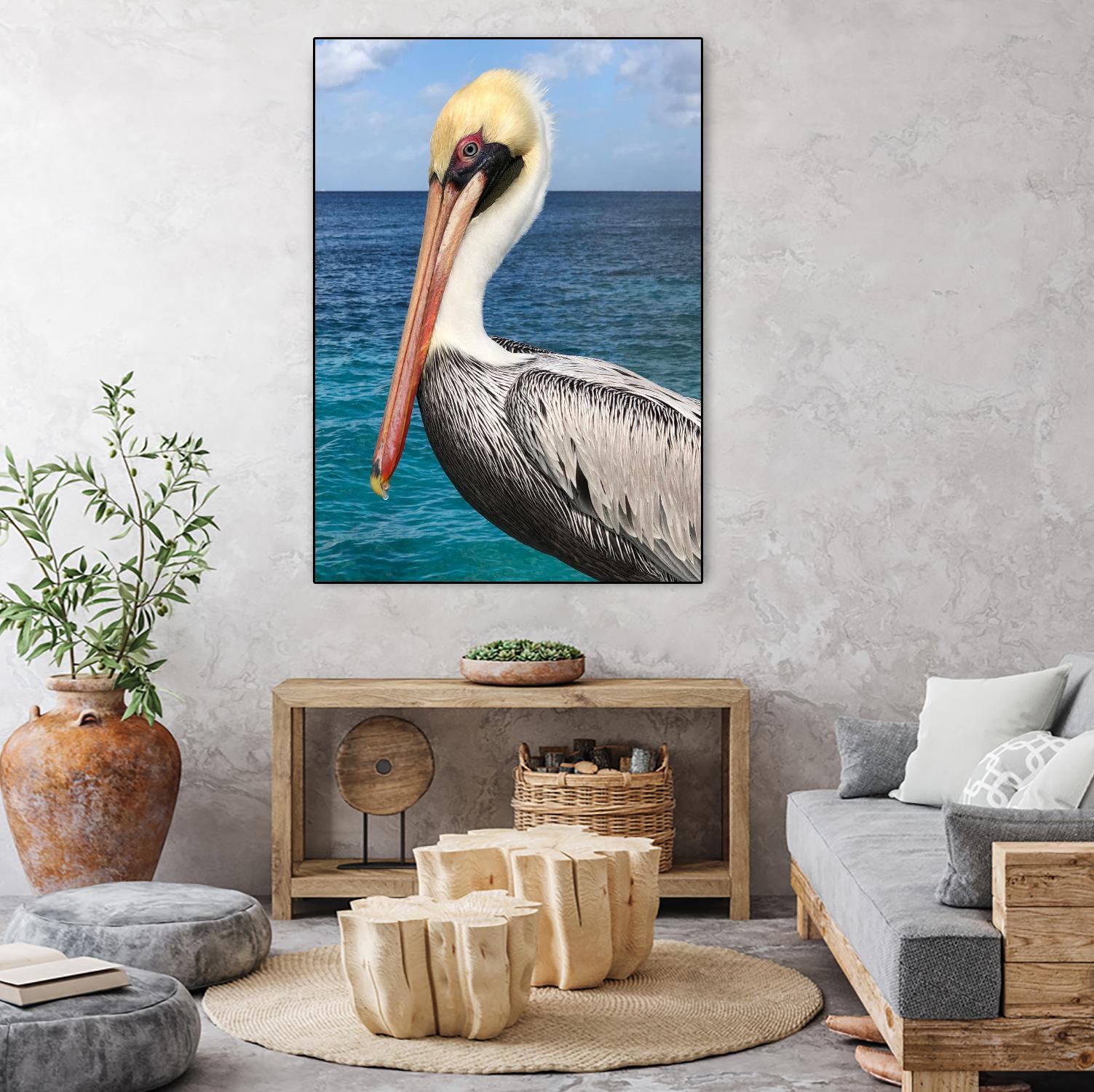 Pelican by Julie DeRice on GIANT ART - coastal photography