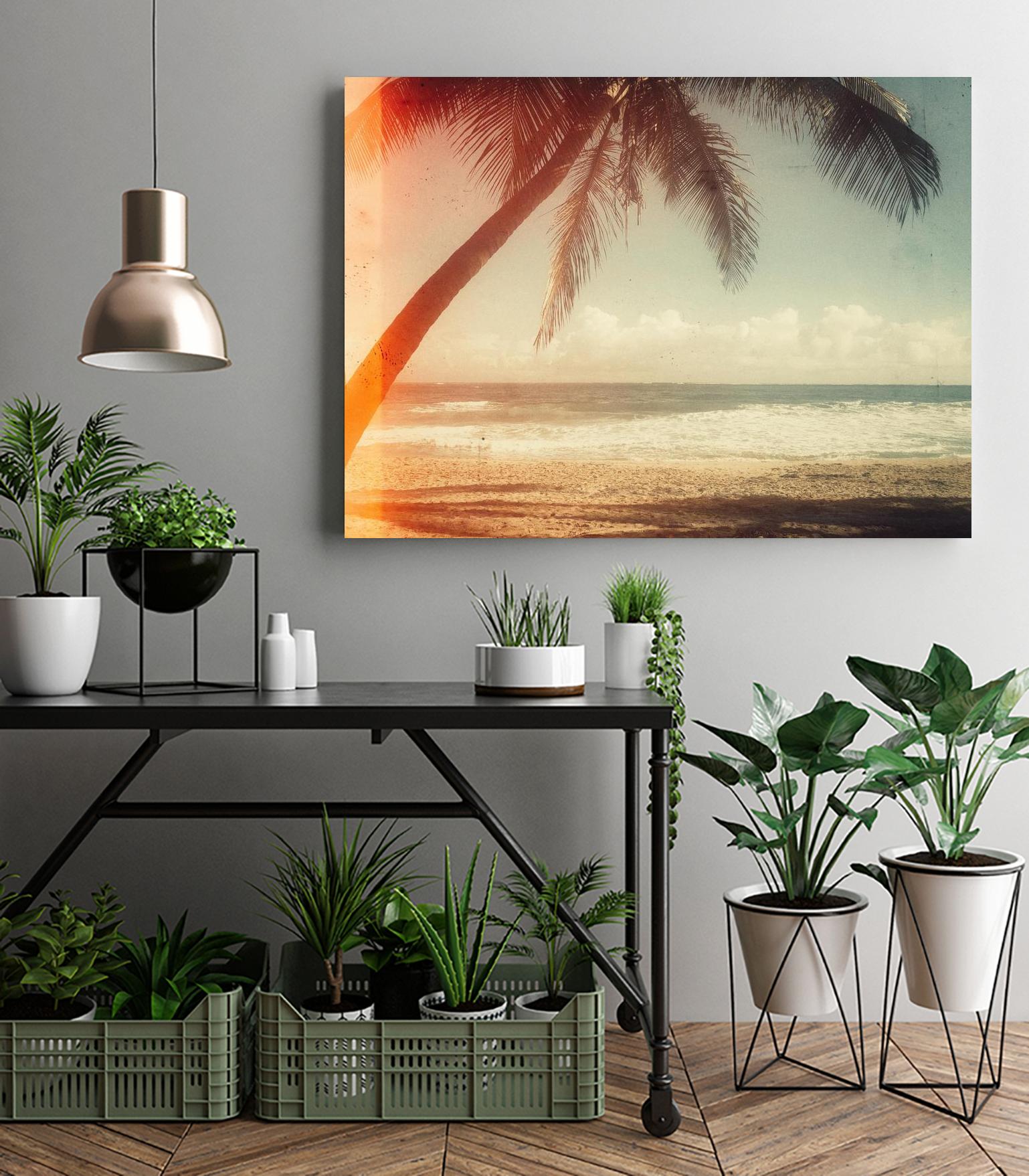 Single Palm by Acosta on GIANT ART - multi photography