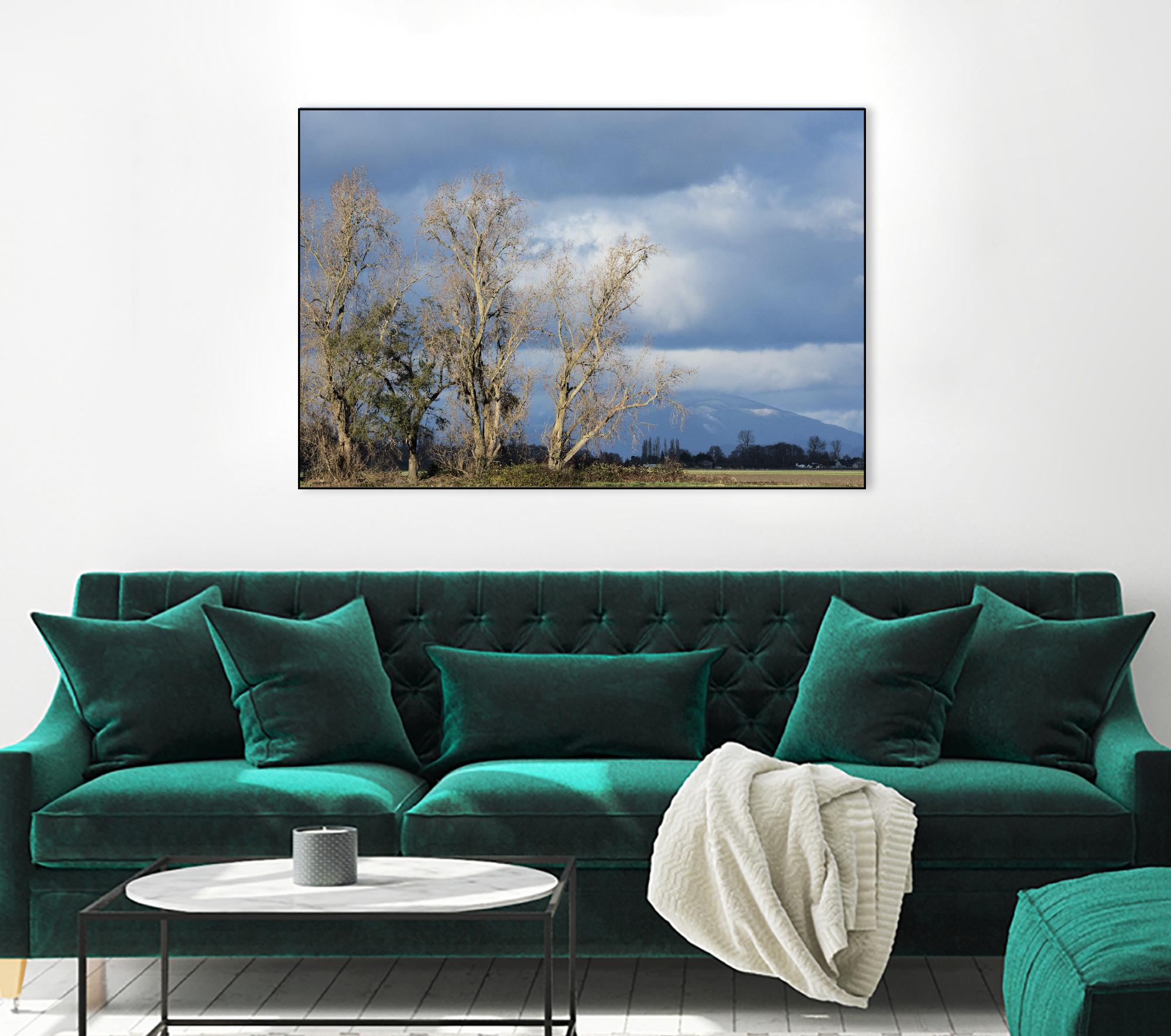 Almost Spring by Nancy Crowell on GIANT ART - beige landscape