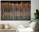 Golden Visions by Aaron Matheson on GIANT ART - grey landscape