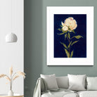 Pretty As A Peony II by Liz Jardine on GIANT ART - blues botanical peony