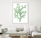 Sea Coral I V1 by Patti Mann on GIANT ART - blacks organic shapes
