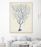 Indigo Coral III by Vision Studio on GIANT ART - blue tropical