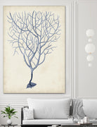 Indigo Coral III by Vision Studio on GIANT ART - blue tropical