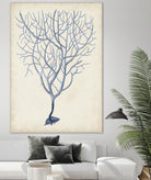 Indigo Coral III by Vision Studio on GIANT ART - blue tropical