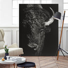 Black Glimpse I by Julie T. Chapman on GIANT ART - animals