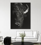Black Glimpse I by Julie T. Chapman on GIANT ART - animals