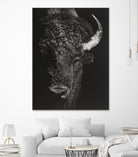 Black Glimpse I by Julie T. Chapman on GIANT ART - animals