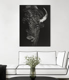Black Glimpse I by Julie T. Chapman on GIANT ART - animals