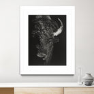 Black Glimpse I by Julie T. Chapman on GIANT ART - animals