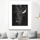 Black Glimpse I by Julie T. Chapman on GIANT ART - animals