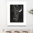 Black Glimpse I by Julie T. Chapman on GIANT ART - animals